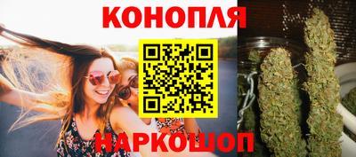 бошки Владимир