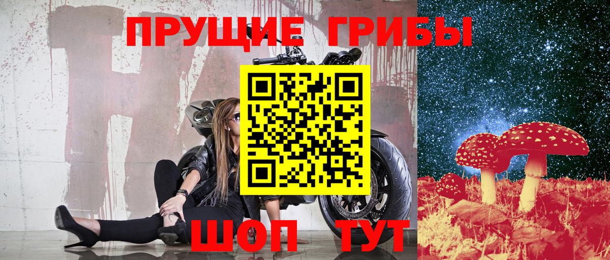 Псилоцибиновые грибы GOLDEN TEACHER  Вход с VPN  Надым 